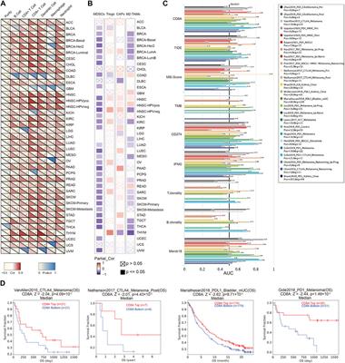 The epiphany derived from T-cell–inflamed profiles: Pan-cancer characterization of CD8A as a biomarker spanning clinical relevance, cancer prognosis, immunosuppressive environment, and treatment responses